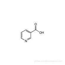 Natural Vitamin E Food Grade Niacinamide Vitamin B3 Factory